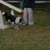 foire-haricots 2011-09-17et18